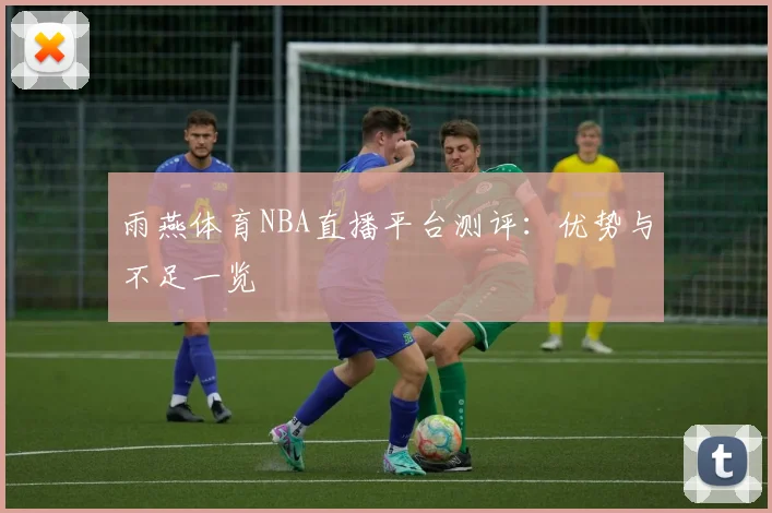 雨燕体育NBA直播平台测评：优势与不足一览