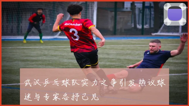 武汉乒乓球队实力之争引发热议球迷与专家各抒己见